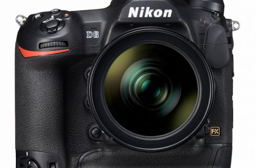 Камерам Nikon D6 и Canon EOS-1D X Mark III приписывают одинаковое разрешение
