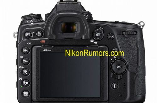 Фотогалерея дня: зеркальная камера Nikon D780