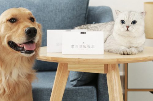 Xiaomi выпустила генетический тест для кошек и собак