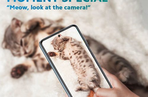 Непонятный смартфон Redmi Note 9S продвигается посредством самого страшного рекламного оружия — котиков