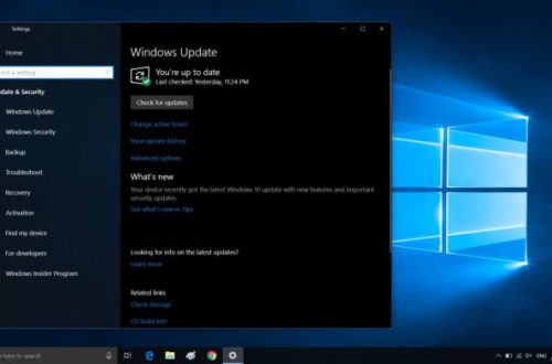 Microsoft просит правильно жаловаться на «катастрофическое» обновление Windows 10. Проблемы изучаются