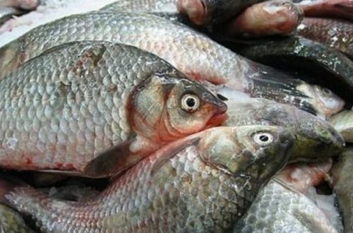 ТОП 10 лайфхаков для любителей рыбы: к четвергу